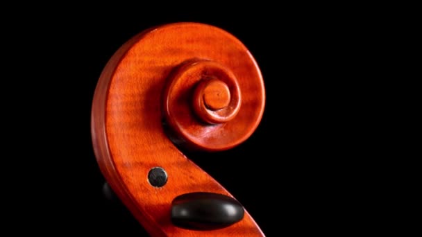 Scroll of violin or viola with pegs turning at black background — Stock Video