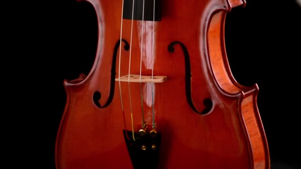 Violin or viola instrument turning at black background — Stock Video