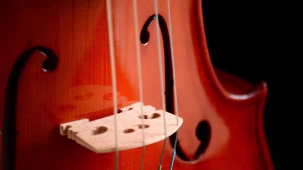 Violin or viola gyrating at black background — Stock Video