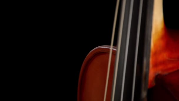 Body and fingerpoints of violin or viola — Stock Video