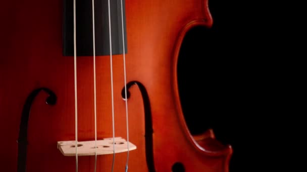Detalhe do corpo e da ponte com cordas de violino ou instrumento de viola girando em fundo preto — Vídeo de Stock