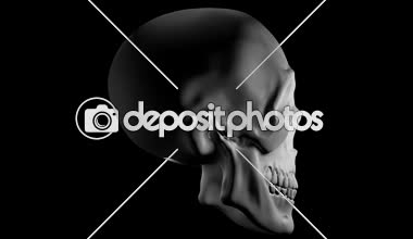 Bir insan kafatası veya kafatası rotasyon 360 derece siyah arka plan üzerinde animasyon