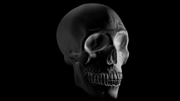 Animation of a human skull or cranium in rotation 360 degree on black background — Stock Video