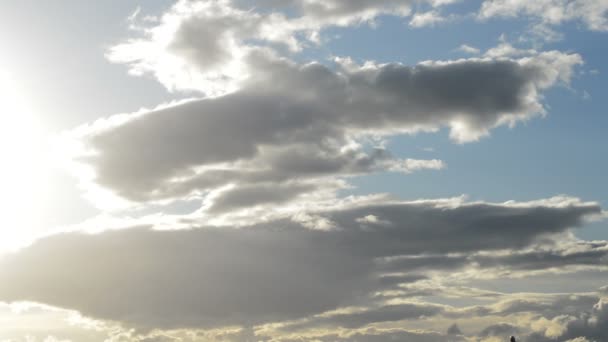 Avión despegando del aeropuerto en el día nublado al atardecer — Vídeo de stock