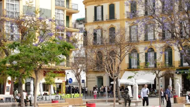 Facade of the founding of Picasso with people walking, Malaga, Andalusia, Spain — Stock Video