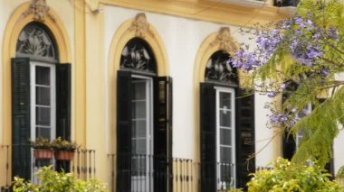 Jacaranda çiçek ile açık balkon eski şehir Malaga, İspanya
