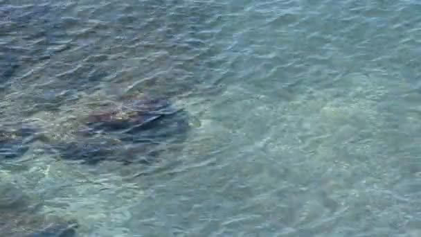 Olas de agua cristalina que llegan a una playa tropical desde arriba — Vídeos de Stock