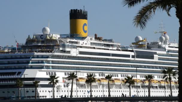 Grand navire de croisière amarré dans le port — Video