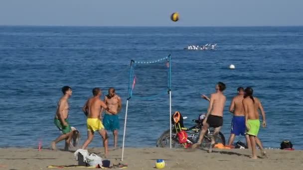 Les gens qui jouent au beach-volley sur la plage un après-midi d'été — Video