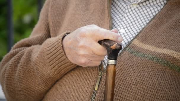 Hand and stick of an old man — Stock Video