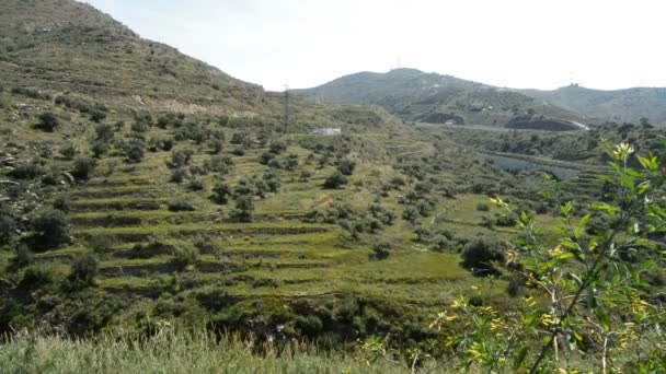 Terrazas o balcones agrícolas en campos andaluces — Vídeo de stock