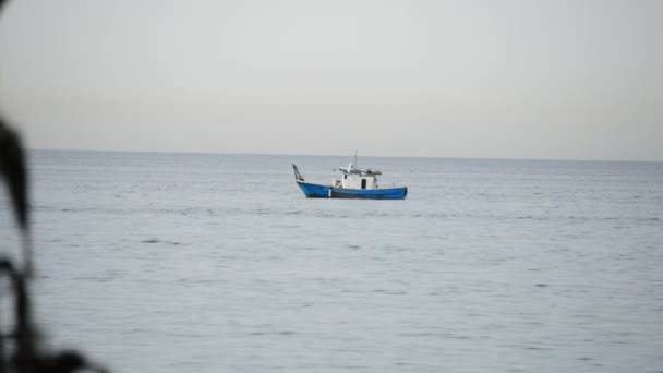 Kabuklu deniz ürünleri Güney Andalusia tipik sahilde Balık tutma tekne — Stok video