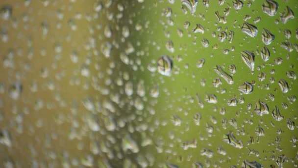Gotas de chuva que caem na janela de um quarto — Vídeo de Stock