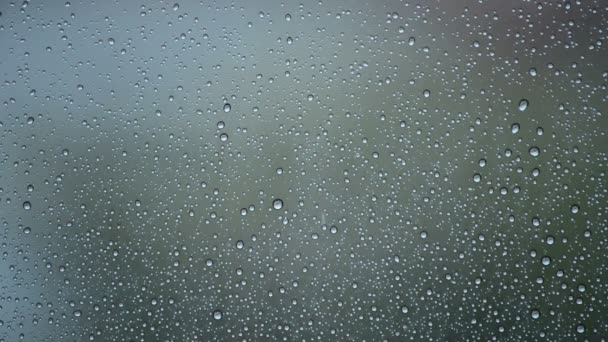 Drops of rain falling on glass window — Stock Video