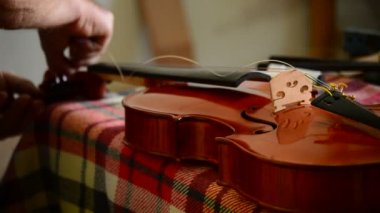 Dizeleri bir keman veya viola işyerinde yerleştirerek luthier