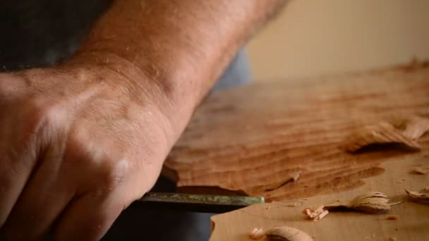 Luthier işyerinde çalışma — Stok video