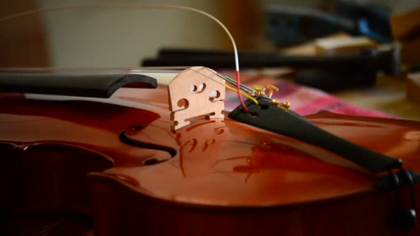 Luthier posizionare le corde a un violino o viola sul posto di lavoro — Video Stock