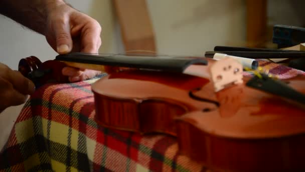 Luthier placing the strings to a violin or viola in the workplace — Stock Video