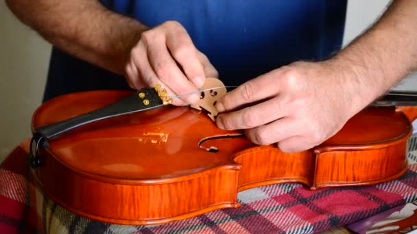 Luthier colocando as cordas para um violino ou viola no local de trabalho — Vídeo de Stock