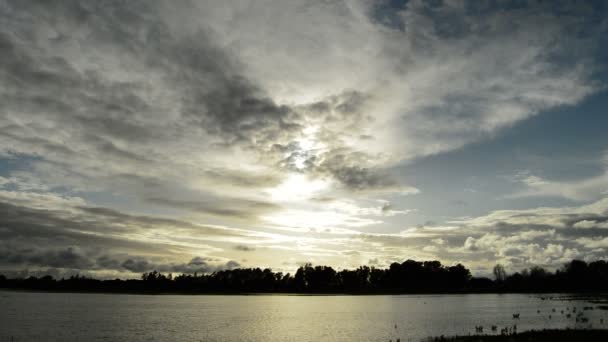 Puesta de sol en el pantano Roco — Vídeo de stock