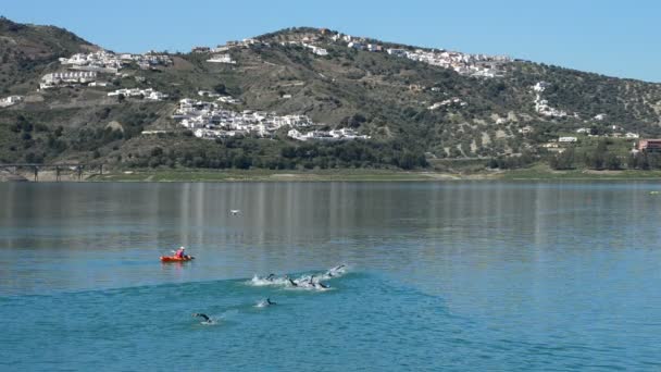 Participar en un triatlón nadando en un lago — Vídeos de Stock