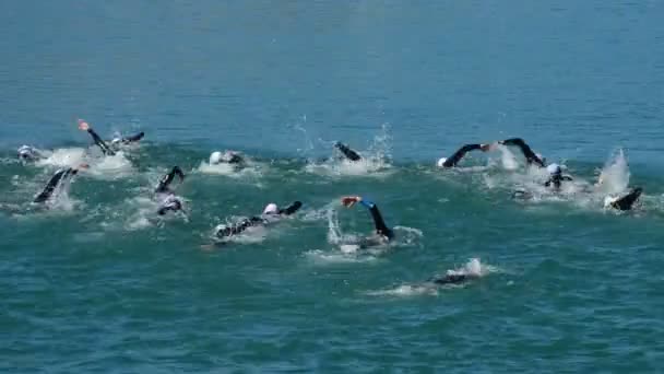 Viuela Malaga España 2015 Nadadores Nadando Triatlón Lago — Vídeo de stock