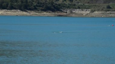 Yüzücüler gölde bir ırkı