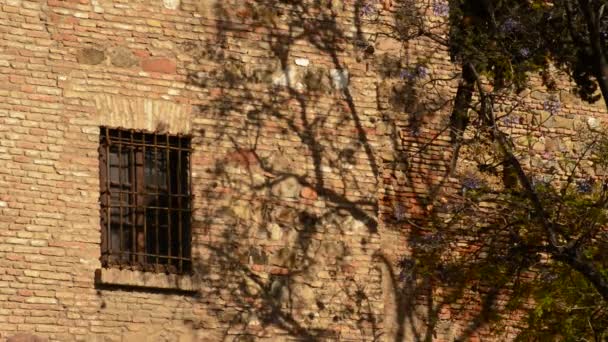 Тень дерева на стене с окном старинного замка на закате — стоковое видео
