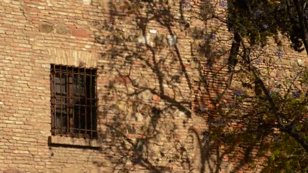 Ombre d'un arbre sur le mur avec une fenêtre d'un château antique au coucher du soleil — Video