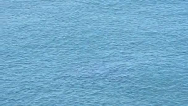 Eau turquoise et cristalline d'une plage 