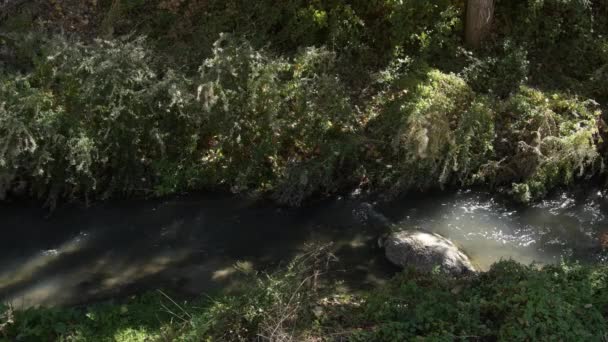 Malá Řeka Tekoucí Silou Mezi Vegetací — Stock video