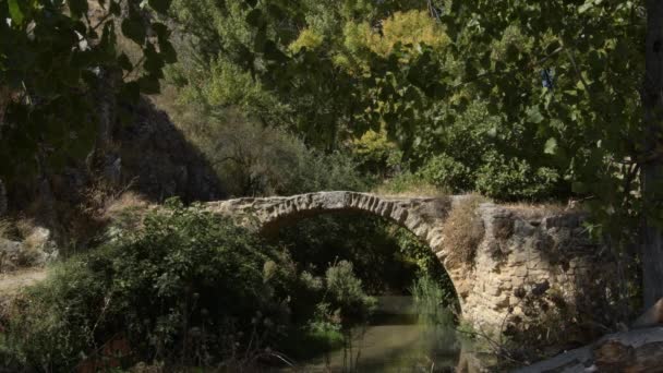 Oude Stenen Romeinse Brug Een Rivier Alhama Granada Spanje — Stockvideo