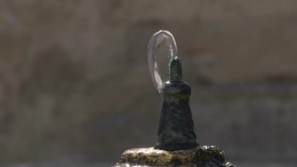 泉から噴き出す水 — ストック動画
