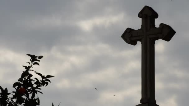 묘지에서 새들이 하늘을 십자가가 묘지에 — 비디오