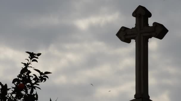 Cruz Piedra Sobre Una Tumba Cementerio Día Nublado Con Pájaros — Vídeo de stock