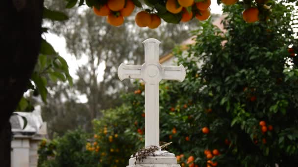Steinkreuz Auf Einem Grab Auf Einem Friedhof Zwischen Orangenbäumen — Stockvideo