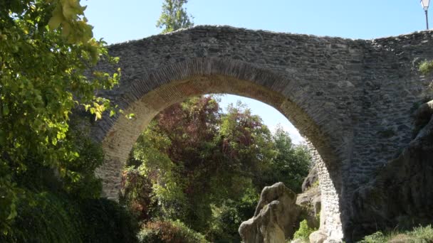 Ponte Romana Velha Entre Árvores Salares Espanha — Vídeo de Stock