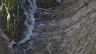 Bataklık barajındaki su akıntısı