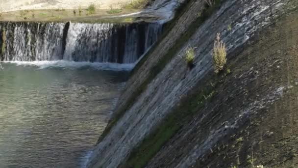 Torrentes Agua Una Presa Pantanosa — Vídeo de stock