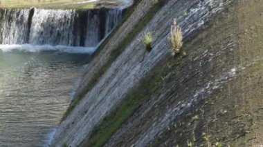 Bataklıktaki bir barajda su akıntıları