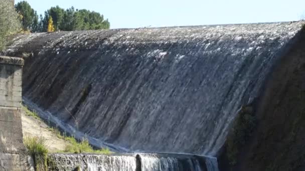 沼のダムを流れる水 — ストック動画