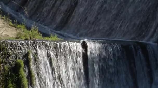 Agua Corriendo Una Presa Pantano — Vídeo de stock