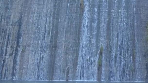 Water Vallend Een Muur Waterval Een Dam Een Moeras — Stockvideo