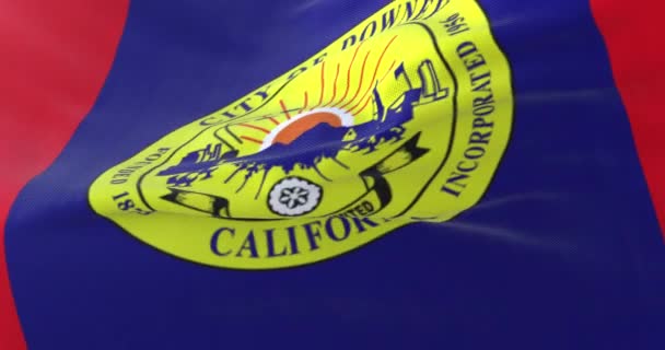 美国加利福尼亚州唐尼市旗 — 图库视频影像