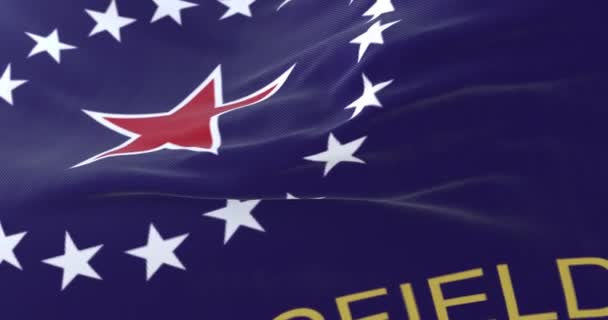 Flaga Springfield Illinois Stany Zjednoczone Ameryki Powoli Pętla — Wideo stockowe
