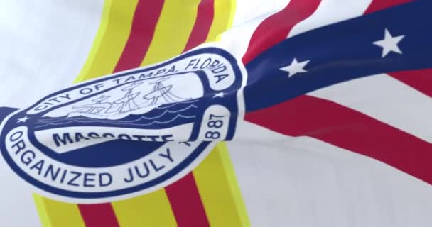Прапор Міста Тампа Сполучені Штати Америки — стокове відео