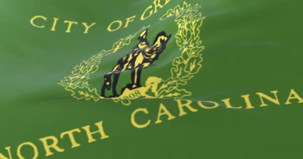 Flagga Greensboro Stad Delstaten North Carolina Usa Långsam Loop — Stockvideo