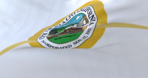 Vlag Van Rialto Stad Californië Verenigde Staten Zwaaiend Naar Wind — Stockvideo