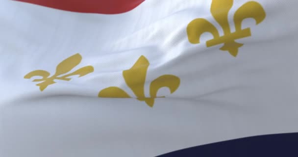 Флаг Нового Орлеана Город Соединенные Штаты Америки Медленный Петля — стоковое видео