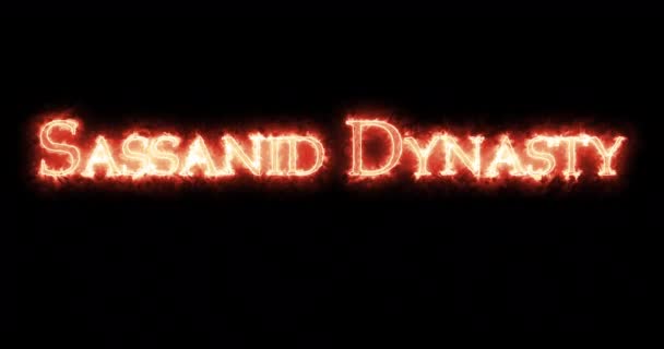 Sassanid Dynasty Written Fire Loop — Stock Video